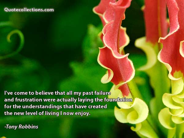 Tony Robbins Quotes4